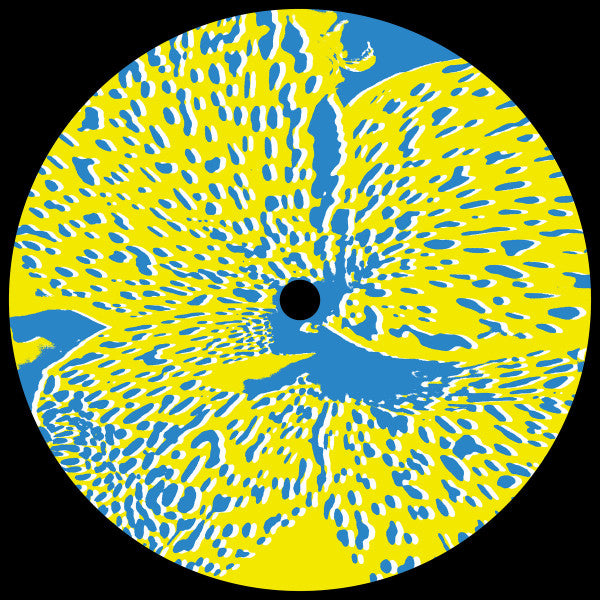 E. Colaci / A. Galasso - 20 Years Later