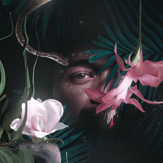 Montoya* – Otun