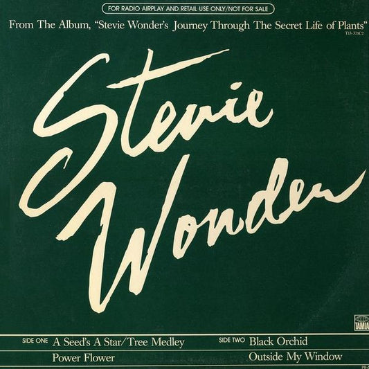 Stevie Wonder – A Seed's A Star / Tree Medley