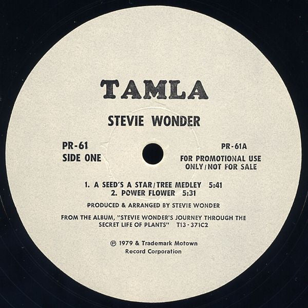 Stevie Wonder – A Seed's A Star / Tree Medley