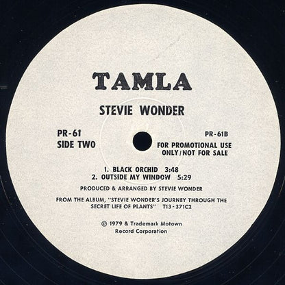 Stevie Wonder – A Seed's A Star / Tree Medley
