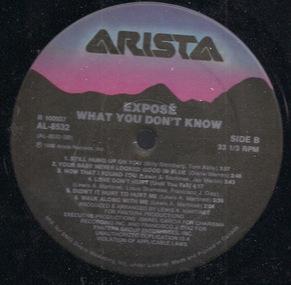 Exposé – What You Don't Know