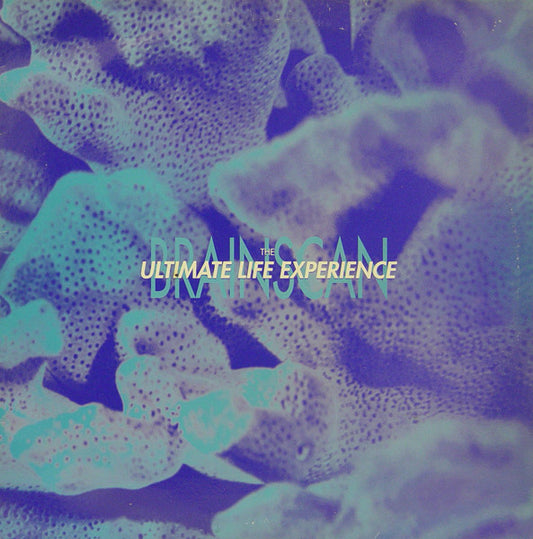 The Ultimate Life Experience – Brainscan