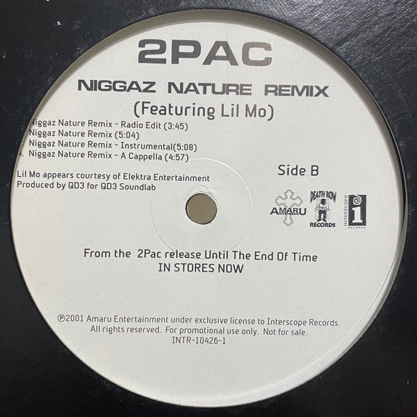 2Pac – Letter 2 My Unborn / Niggaz Nature Remix