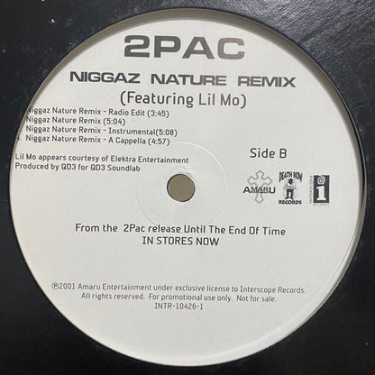 2Pac – Letter 2 My Unborn / Niggaz Nature Remix