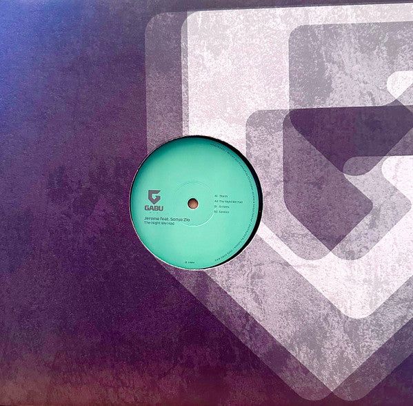 Jerome feat. Sonya Zlo – The Night We Had