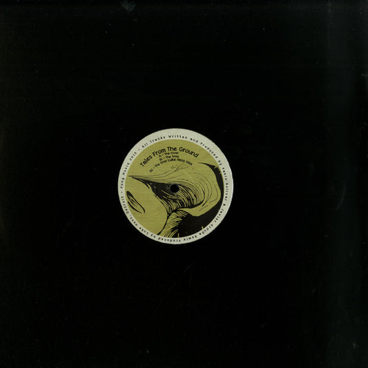 Javier Orduña & Pablo Bolivar – Tales From The Ground