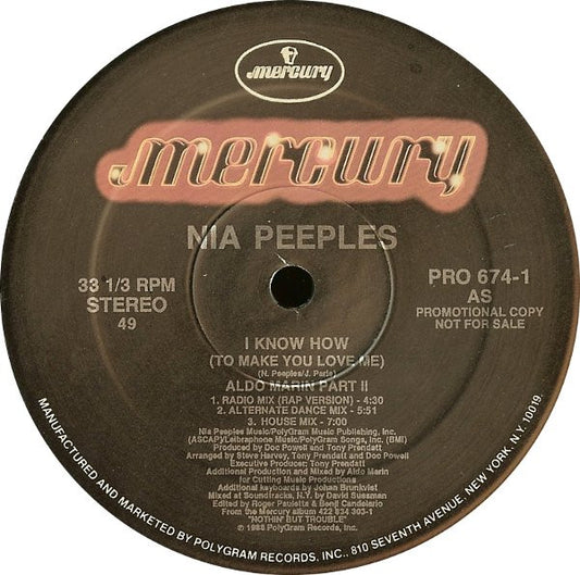 Nia Peeples – I Know How (To Make You Love Me)